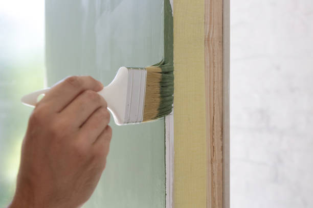 Best Mold Documentation for Insurance Claims  in Plymouth, MN