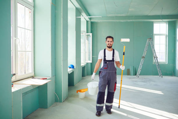 Best Black Mold Removal  in Plymouth, MN