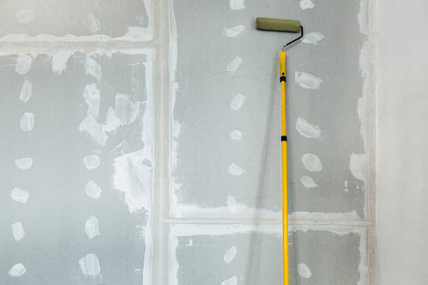 Best Biohazard Mold Removal  in Plymouth, MN