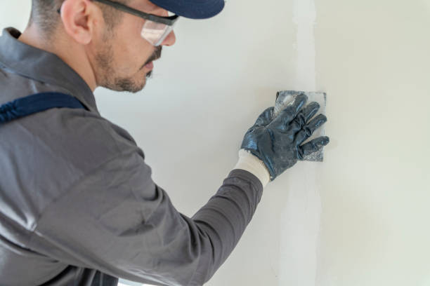 Best Air Quality Testing for Mold Spores  in Plymouth, MN