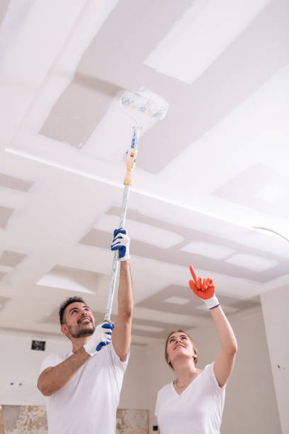 Best Comprehensive Air Testing for Mold Contaminants  in Plymouth, MN