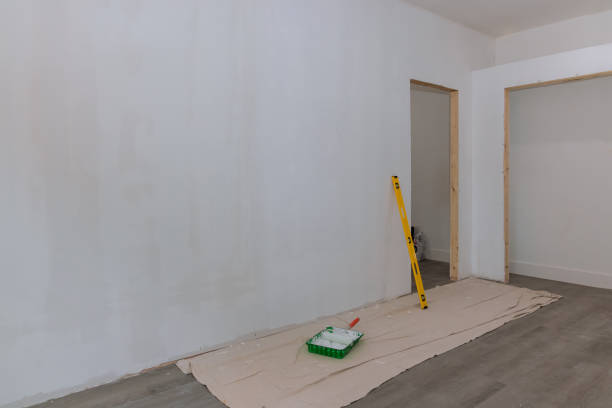 Best Environmental Consulting for Mold Prevention  in Plymouth, MN