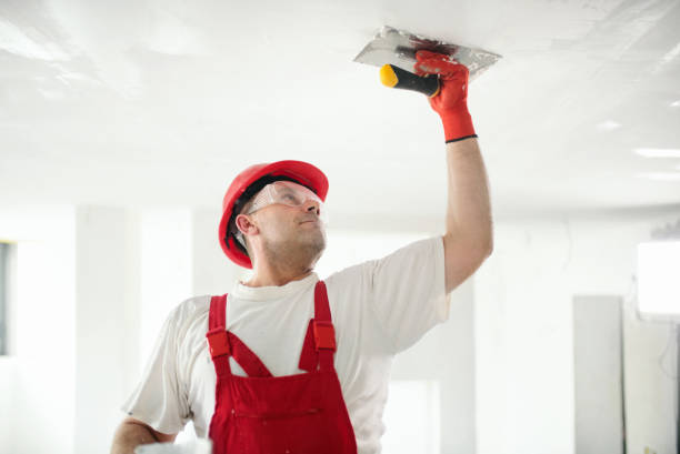 Best Dehumidification Services  in Plymouth, MN