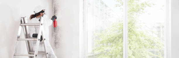 Mold Remediation for Rental Properties in Plymouth, MN