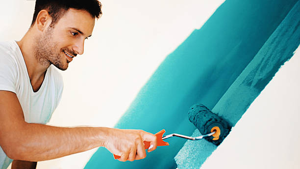 Best Industrial Mold Remediation  in Plymouth, MN