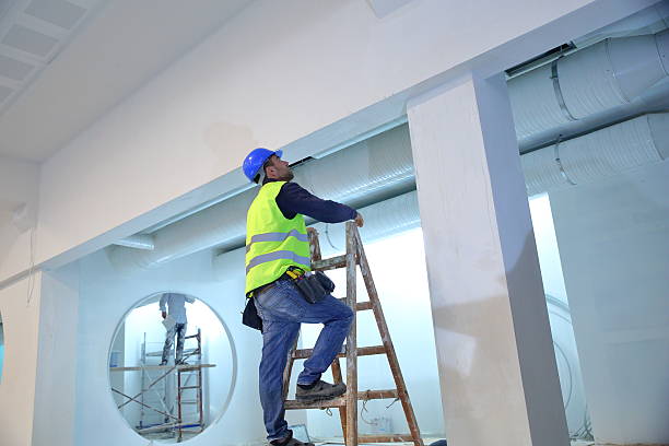 Trusted Plymouth, MN Mold Removal Experts