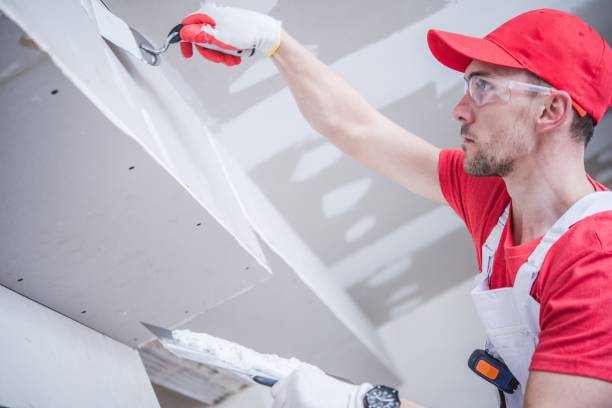  Plymouth, MN Mold Removal Pros